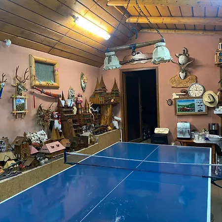Cabanuta Cu Teren De Tenis Banita
